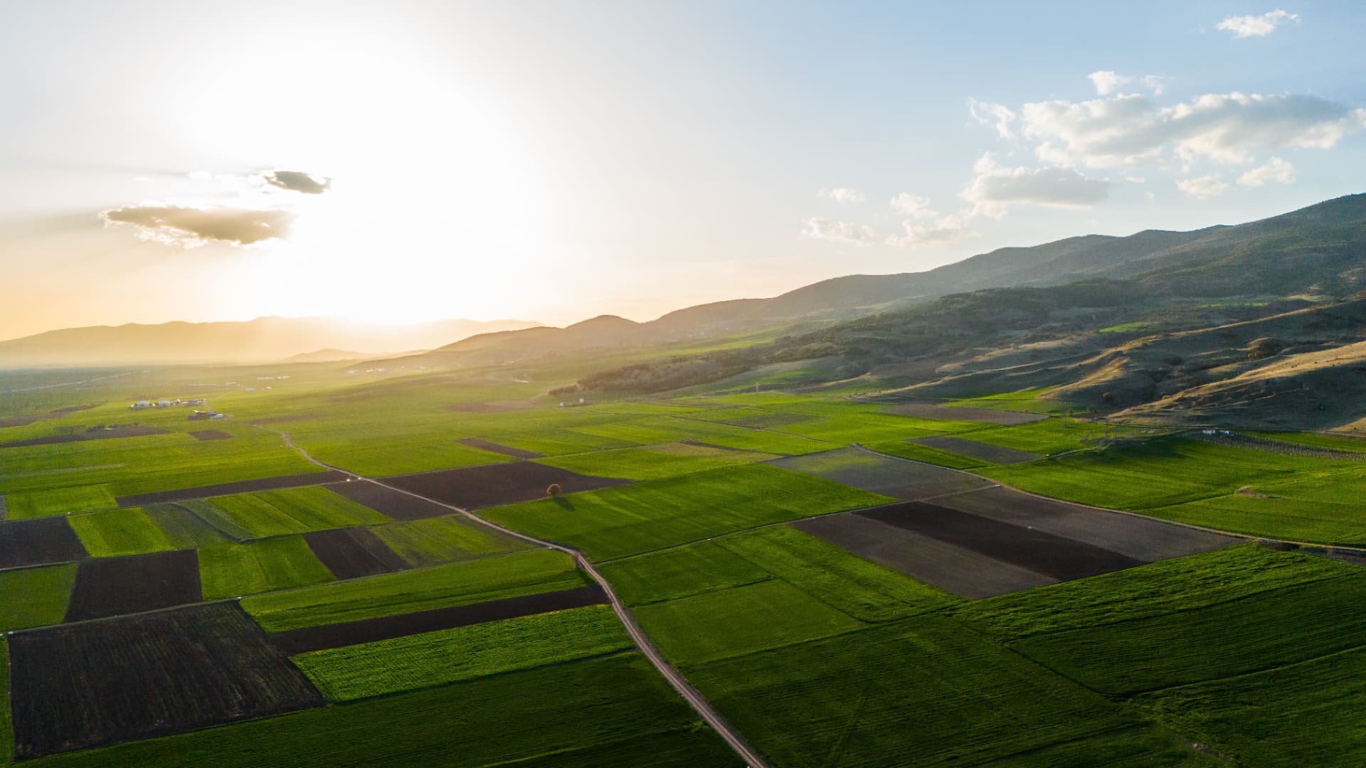 Greenfield Exploration sector imagery